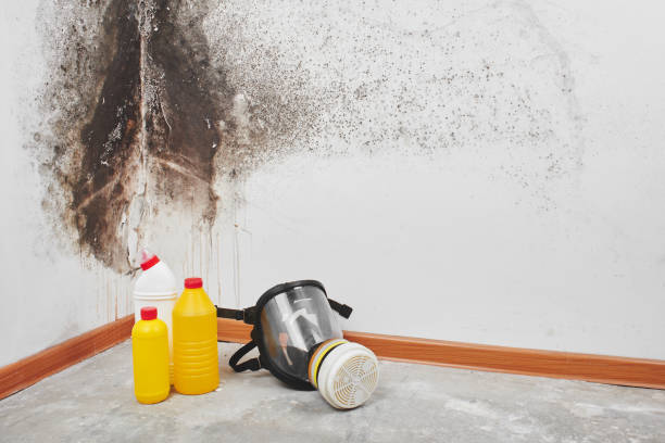 Mold Removal and Inspection in Midwest City, OK