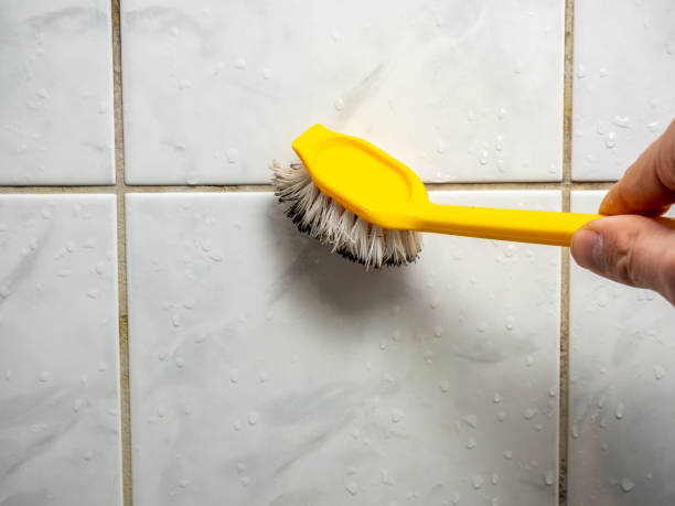 Best Fast Mold Removal  in Midwest City, OK