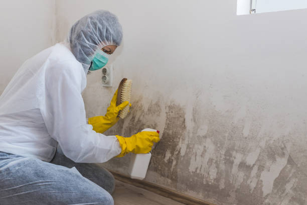 Crawl Space Mold Removal in Midwest City, OK