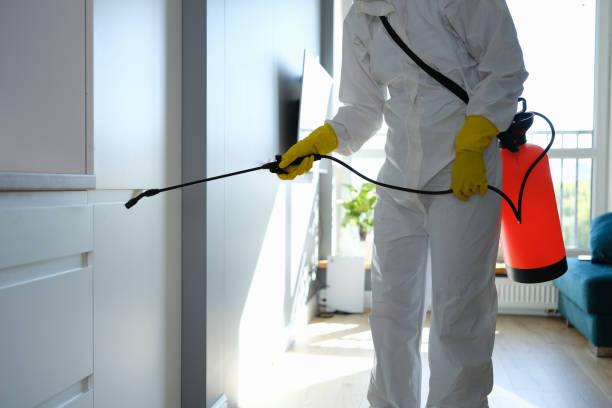 Best Professional Mold Removal  in Midwest City, OK