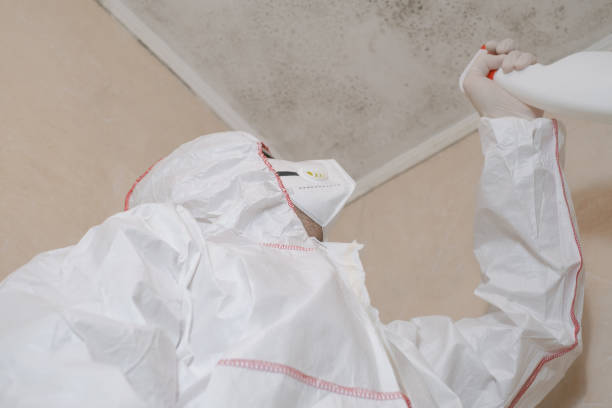 Best Emergency Mold Removal  in Midwest City, OK