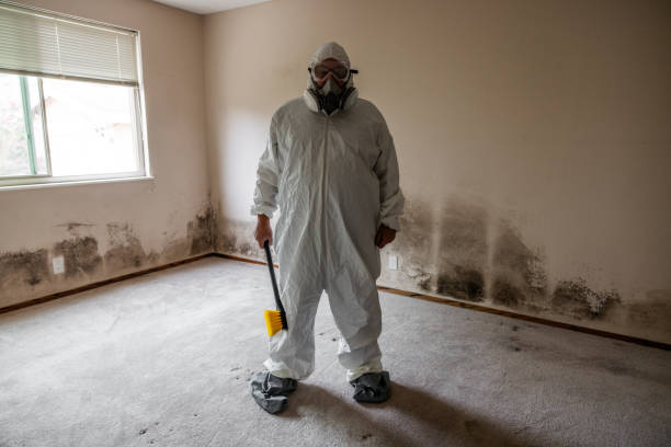 Midwest City, OK Mold Removal Company